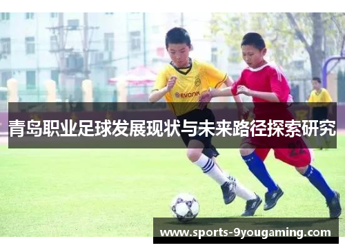 青岛职业足球发展现状与未来路径探索研究